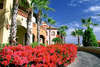 Sheraton Hacienda Del Mar Resort & Spa 